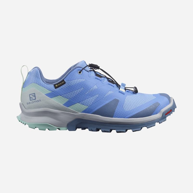 SALOMON XA ROGG GTX W Philippines - Women's Trail Running Shoes - Blue | 924851-UJK